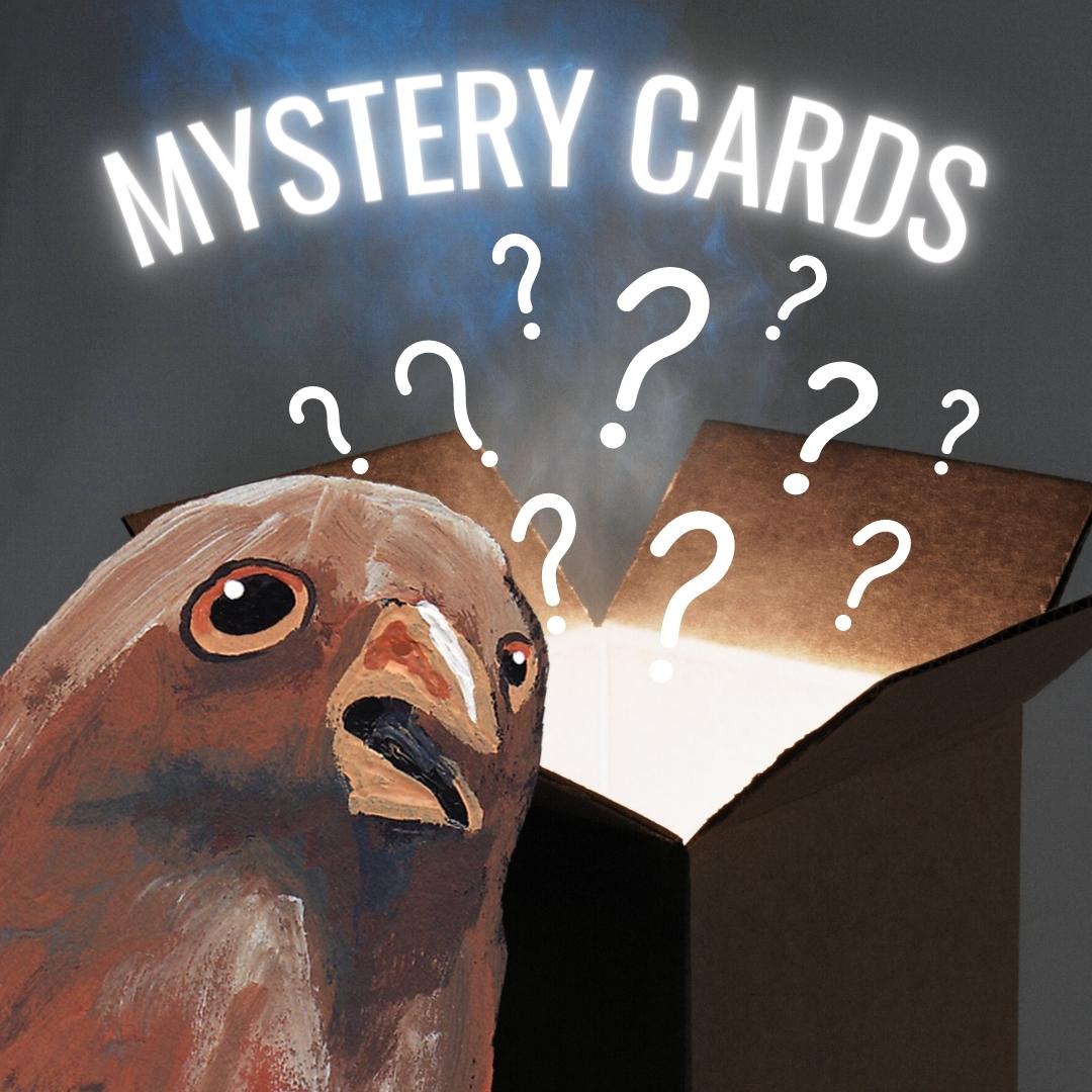 Mystery Card Bag