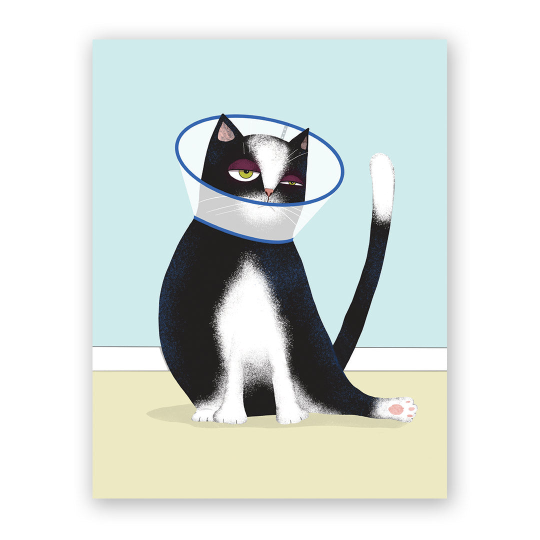 Cone Cat Get Well Card