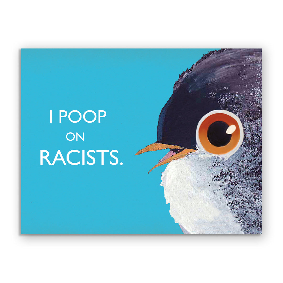I Poop On Racists Card
