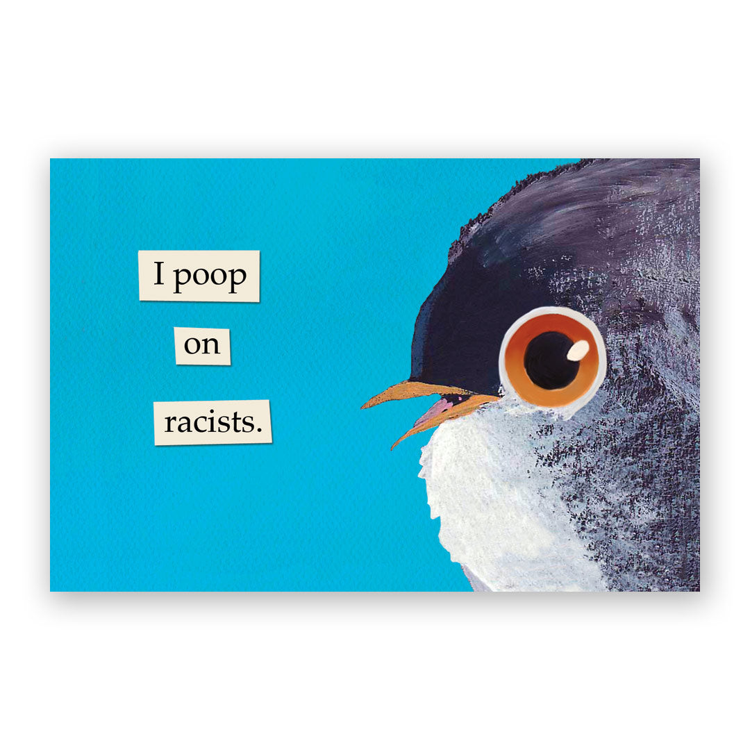 Poop on Racists Postcards - Set of 12 - Troubled Birds