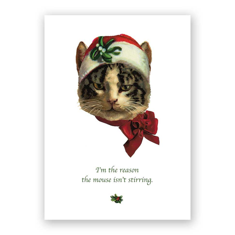 Cat clearance christmas cards