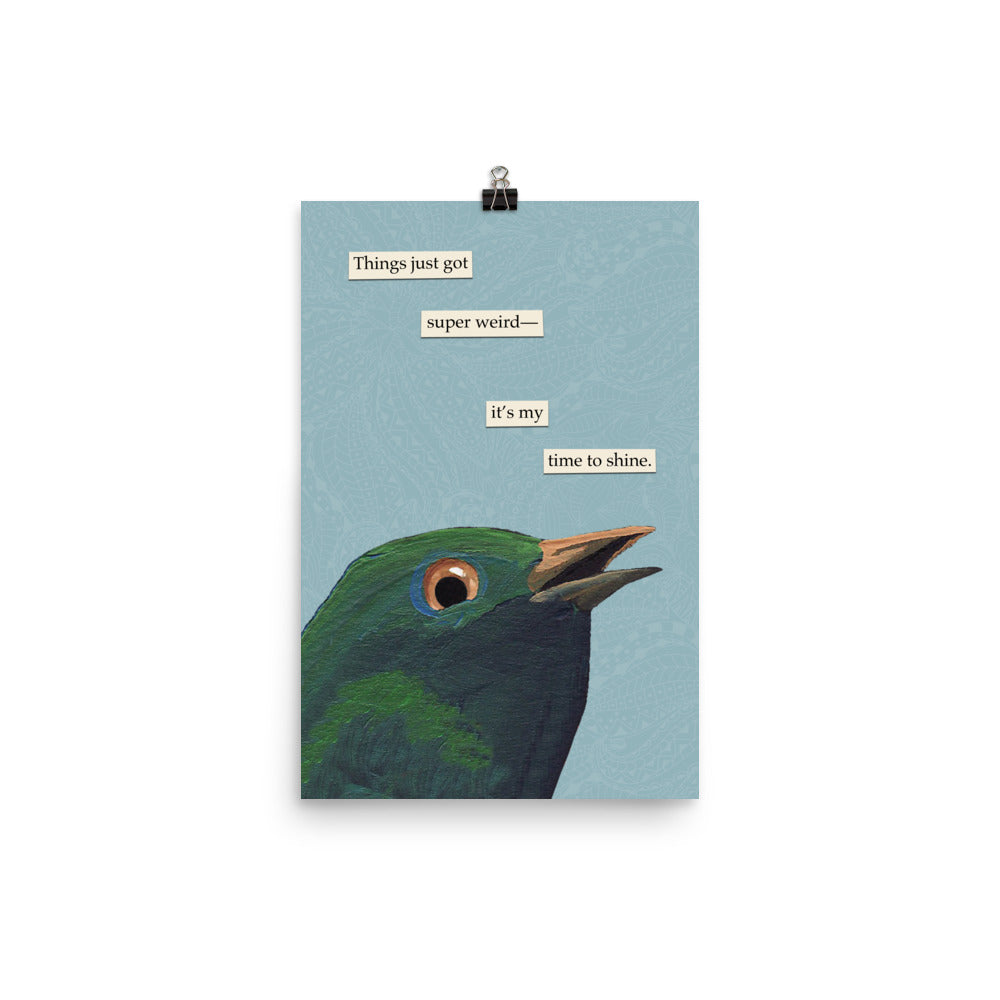 Super Weird - Troubled Birds - Matte Poster