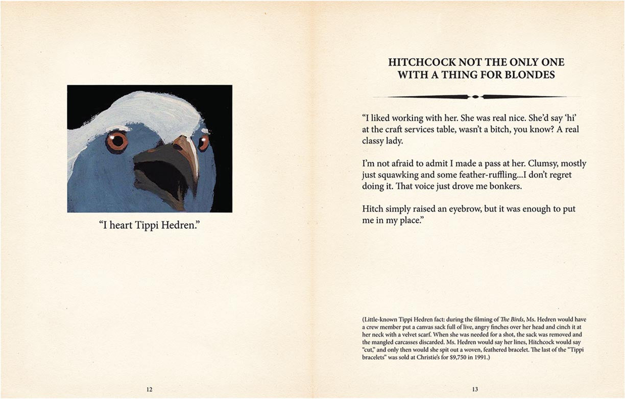 The Mincing Mockingbird Guide to Troubled Birds Book