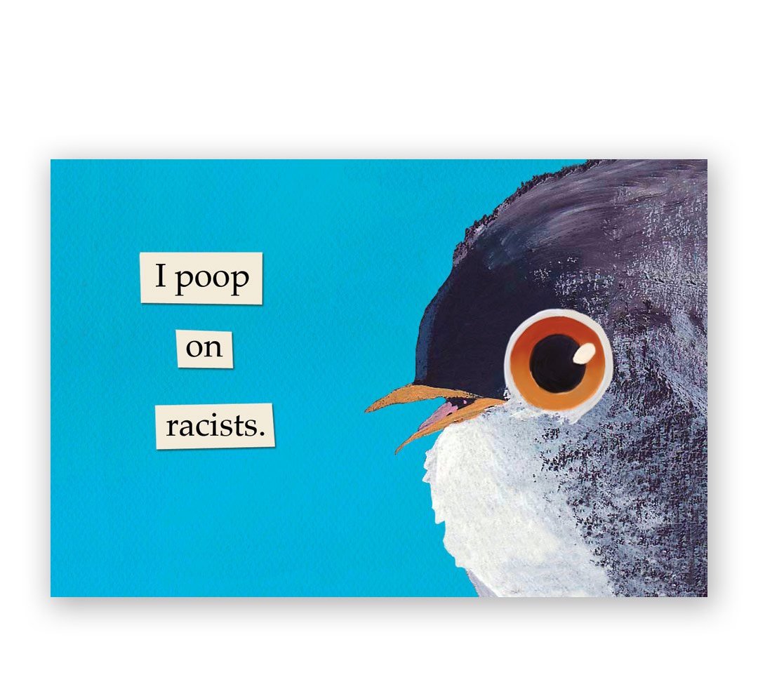 TROUBLED BIRDS The Mincing Mockingbird & The Frantic Meerkat