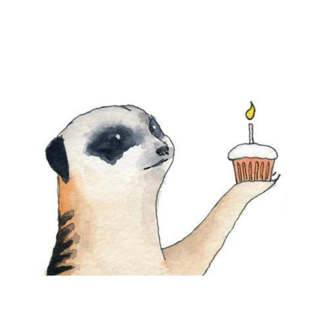 FRANTIC MEERKAT The Mincing Mockingbird & The Frantic Meerkat