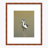 11 x 14 Limited Edition Art Print - Aquatic Twerking For Seniors