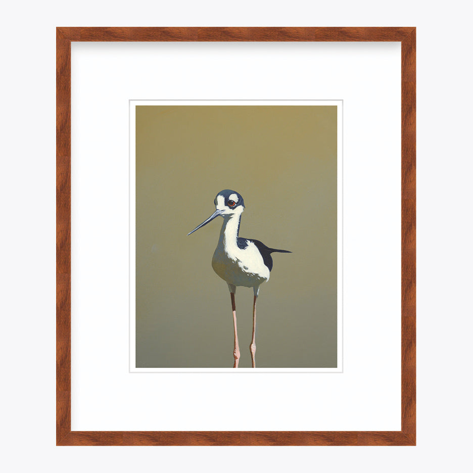 11 x 14 Limited Edition Art Print - Aquatic Twerking For Seniors