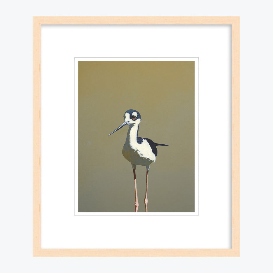11 x 14 Limited Edition Art Print - Aquatic Twerking For Seniors