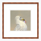12 x 12 Limited Edition Art Print - I Hail From The Great Commonwealth Of  Massachusetts...