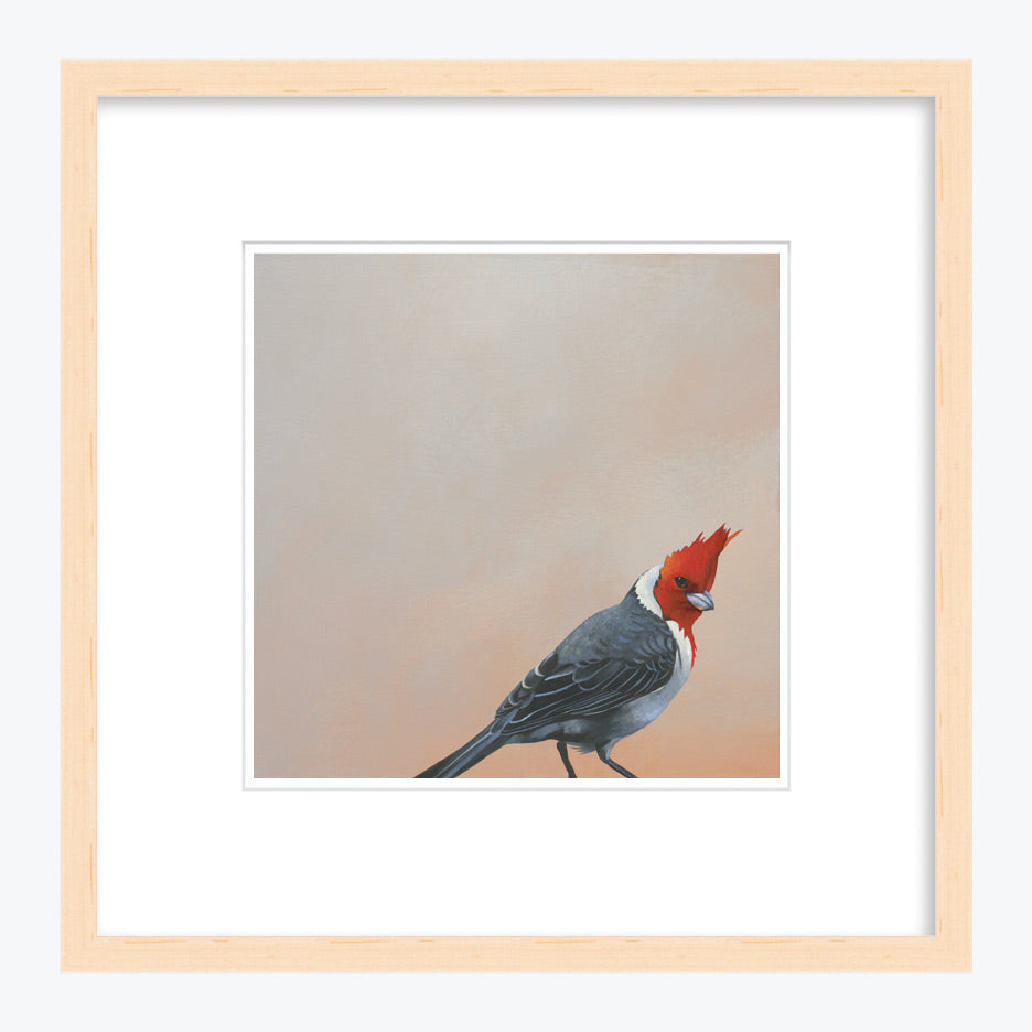 12 x 12 Limited Edition Art Print - Surprise, Surprise - This Self-Described “Cheeky Bastard”...