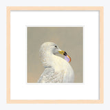 12 x 12 Limited Edition Art Print - I Hail From The Great Commonwealth Of  Massachusetts...