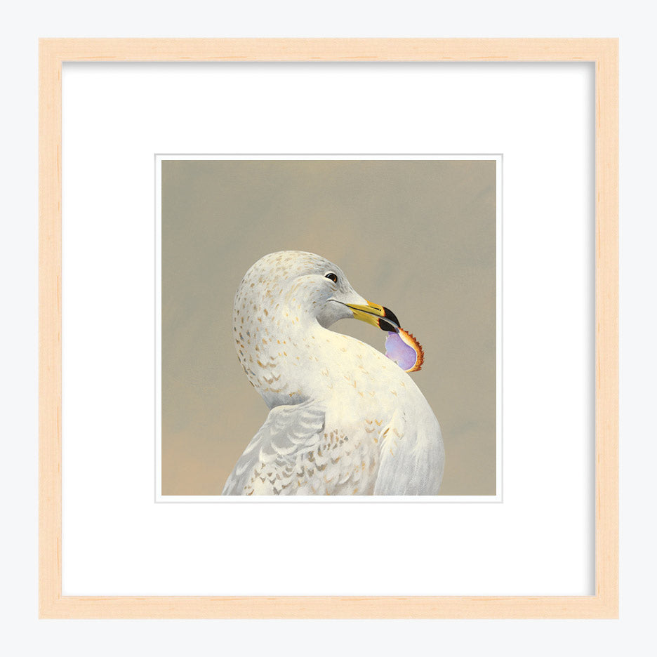 12 x 12 Limited Edition Art Print - I Hail From The Great Commonwealth Of  Massachusetts...