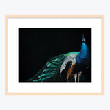 19 x 24 Limited Edition Art Print - Overdressed And Underappreciated
