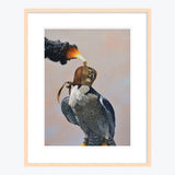 19 x 24 Limited Edition Art Print - They Say That Instead Of Sending An Angry Email You Might Regret...