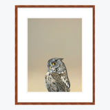 18 x 24 Limited Edition Art Print - Coronavirus Is Wreaking Havoc On My Kissing Booth Business...