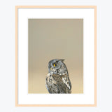 18 x 24 Limited Edition Art Print - Coronavirus Is Wreaking Havoc On My Kissing Booth Business...