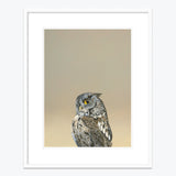 18 x 24 Limited Edition Art Print - Coronavirus Is Wreaking Havoc On My Kissing Booth Business...