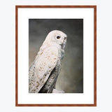 19 x 24 Limited Edition Art Print - In The Leaf Litter, Something Tries To Hide Its Own Heartbeat