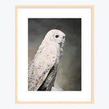 19 x 24 Limited Edition Art Print - In The Leaf Litter, Something Tries To Hide Its Own Heartbeat