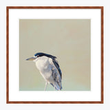 24 x 24 Limited Edition Art Print - Starting To Rethink My Well-Intentioned Effort...