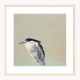 24 x 24 Limited Edition Art Print - Starting To Rethink My Well-Intentioned Effort...