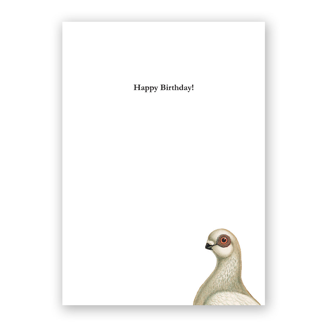 Olive Birthday Card