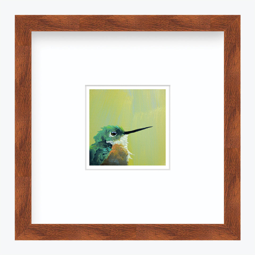 5 x 5 Art Print - Hummingbird Number 1