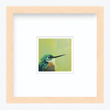 5 x 5 Art Print - Hummingbird Number 1