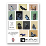 Matt Adrian Corvid Box Set of 12