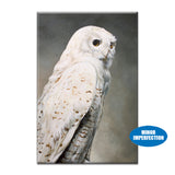 Sale - Snowy Owl Magnet