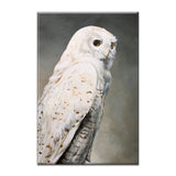 Sale - Snowy Owl Magnet