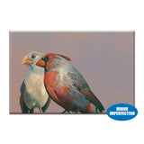 Sale - Cardinal Pair Magnet