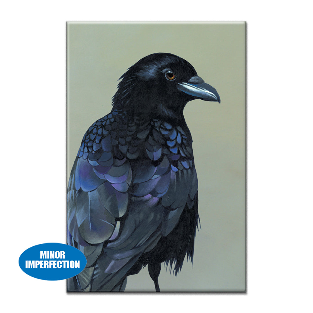 Sale - Crow Magnet