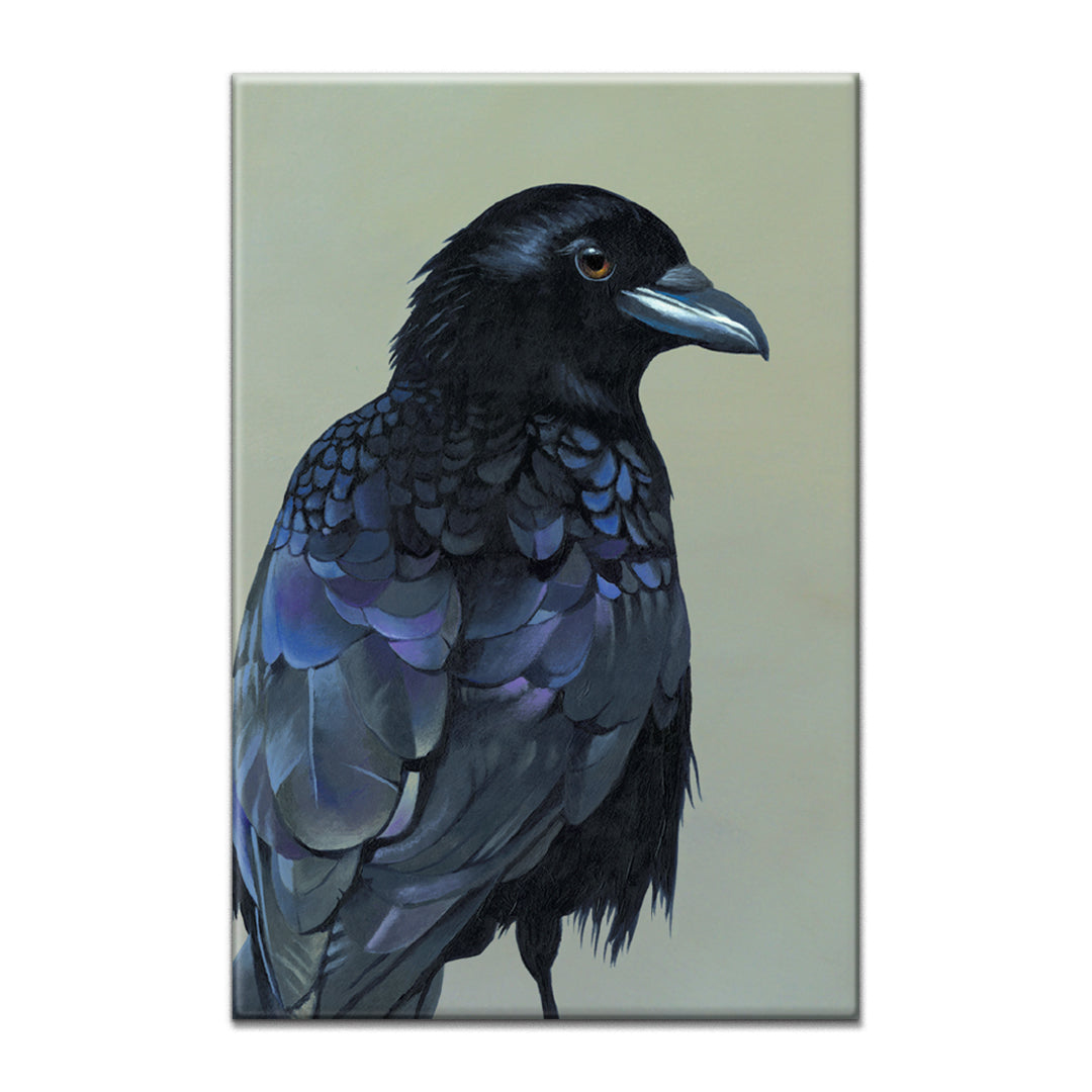 Crow Magnet