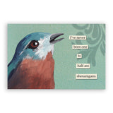 Mixed Postcards Set #2 - Set of 10 - Troubled Birds