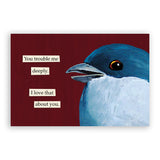 Mixed Postcards Set #2 - Set of 10 - Troubled Birds