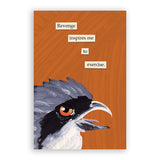 Mixed Postcards Set #2 - Set of 10 - Troubled Birds