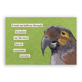 Mixed Postcards Set #2 - Set of 10 - Troubled Birds