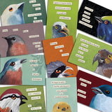 Mixed Postcards Set #2 - Set of 10 - Troubled Birds