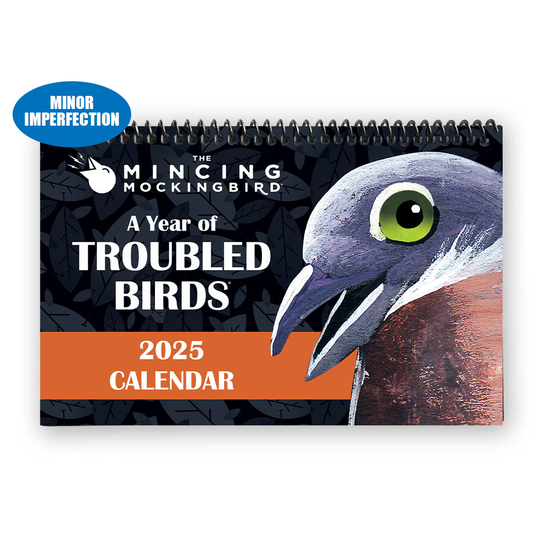 Sale - Troubled Birds 2025 Wall Calendar