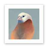 5 x 5 Art Print - Finch 27