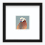 5 x 5 Art Print - Finch 27