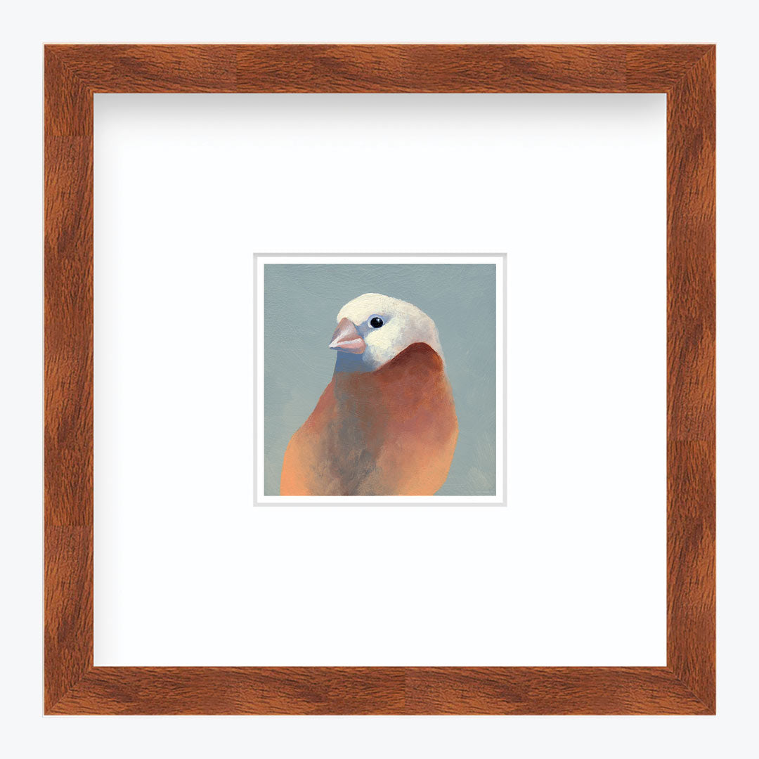 5 x 5 Art Print - Finch 27