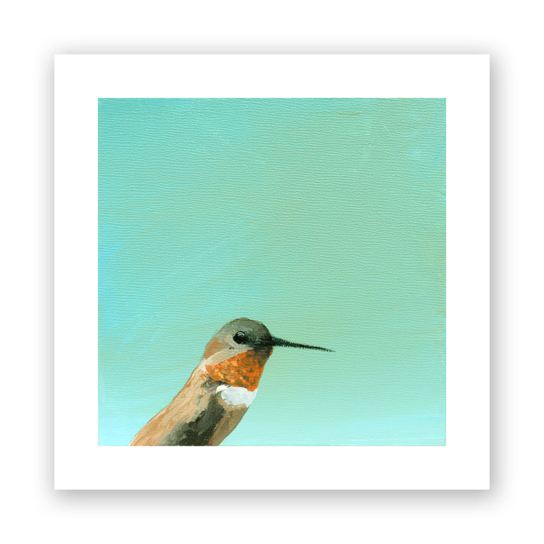 5 x 5 Art Print - Hummingbird Number 30