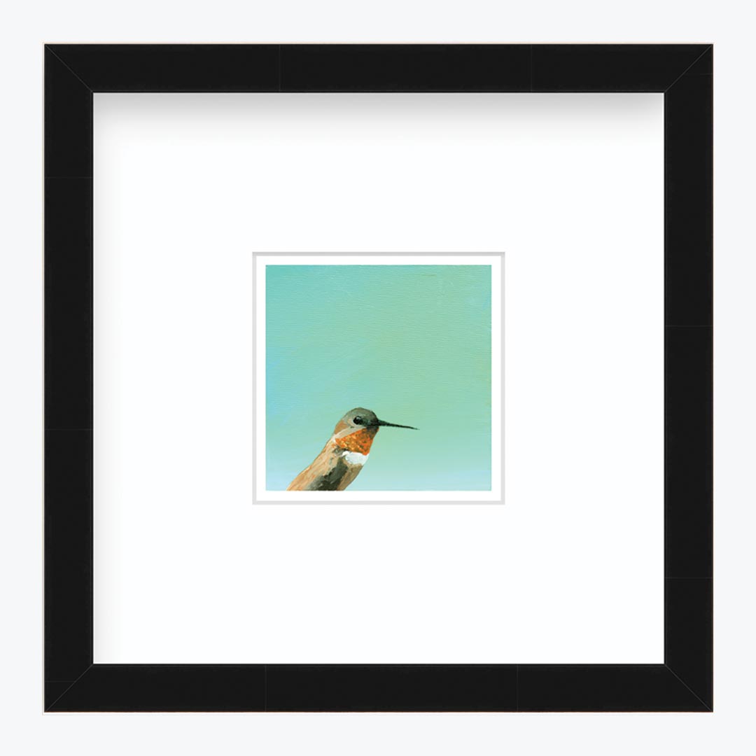 5 x 5 Art Print - Hummingbird Number 30
