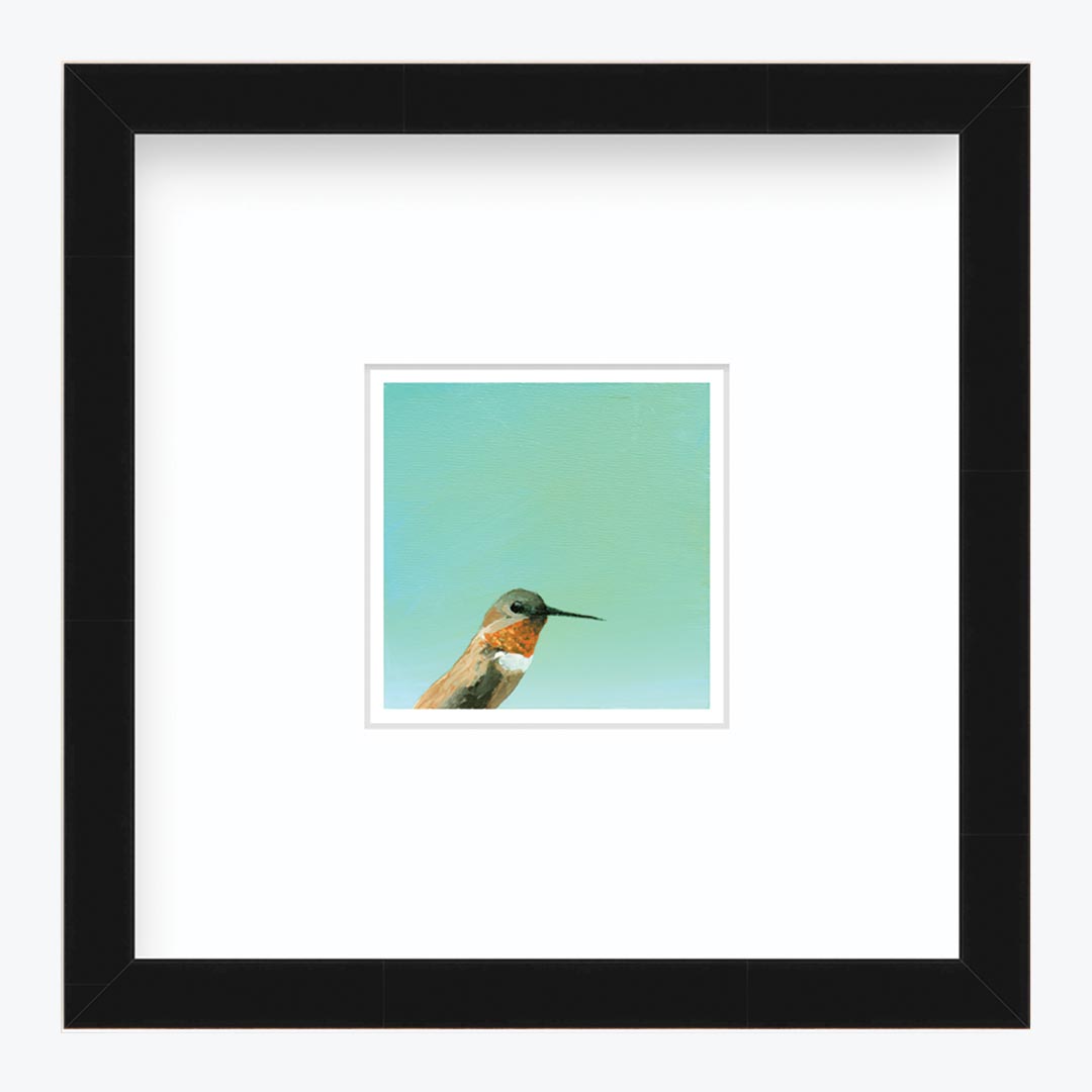 5 x 5 Art Print - Hummingbird Number 30