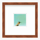 5 x 5 Art Print - Hummingbird Number 30