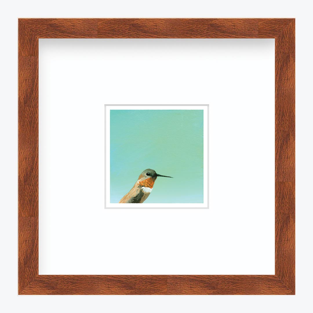 5 x 5 Art Print - Hummingbird Number 30