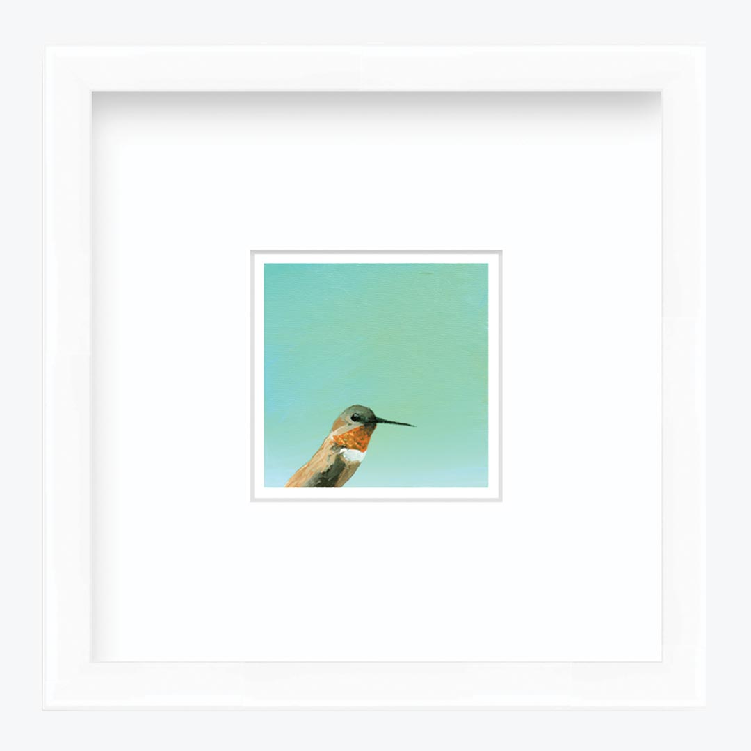 5 x 5 Art Print - Hummingbird Number 30