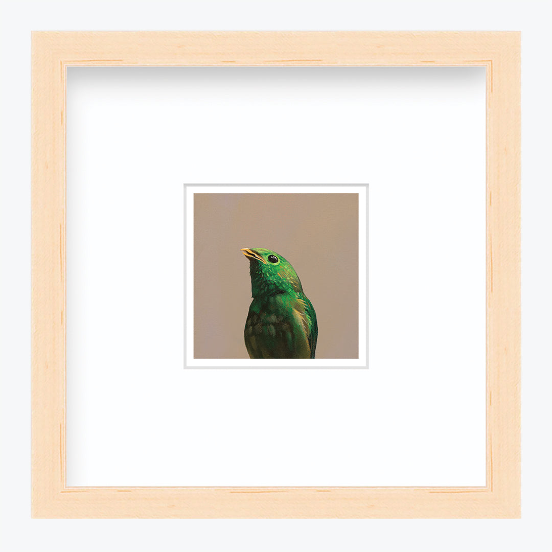 5 x 5 Art Print - Green Broadbill